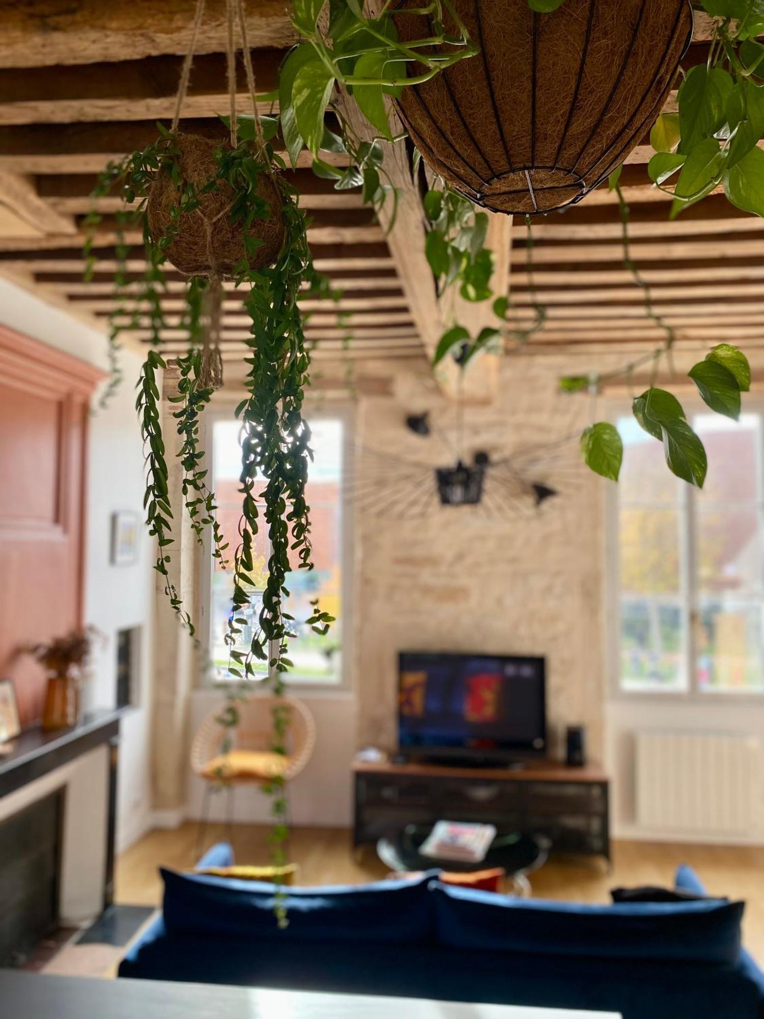 Les Jardins De La Cite Διαμέρισμα Ντιζόν Εξωτερικό φωτογραφία